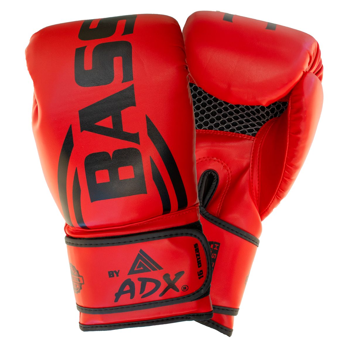 Diseño sin título - 2026-02-13T103126.310