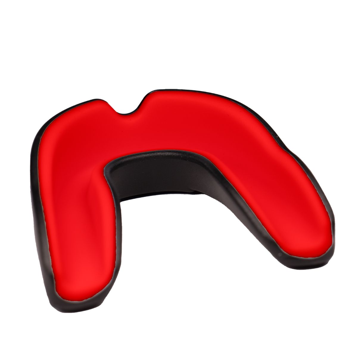 Diseño sin título - 2026-02-13T134718.965