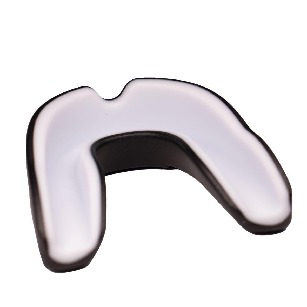 Diseño sin título - 2026-02-13T134945.803